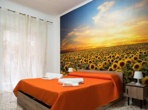 Davulia comfort Catania